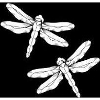 GST 117C Amethyst Damselflies