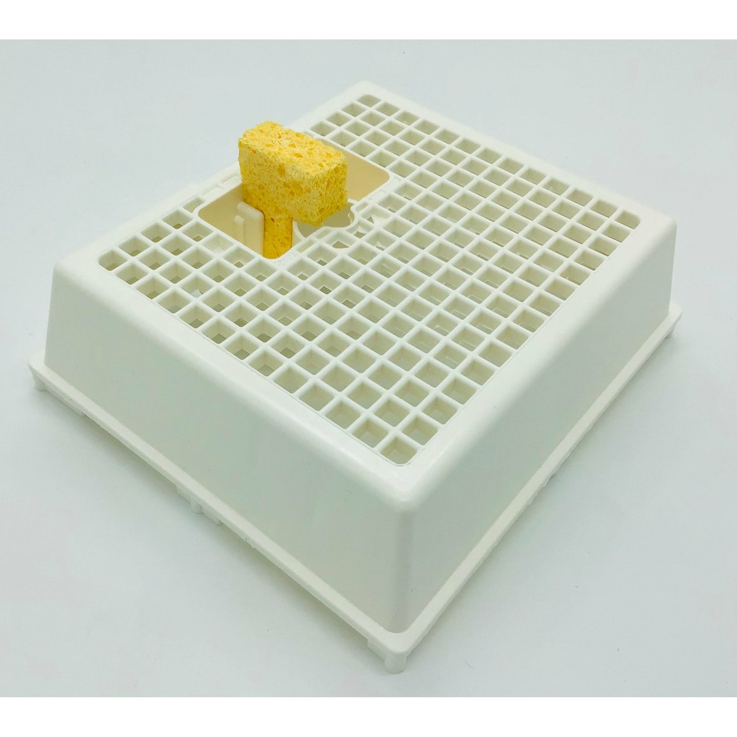 L-Shaped Sponge for Second Story