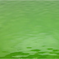 Oceanside 526.2W-F, Moss Green Waterglass
