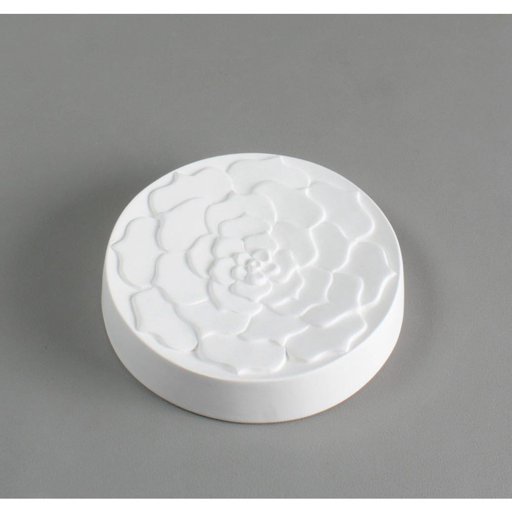 GM237 Creative Paradise Succulent Texture Mold