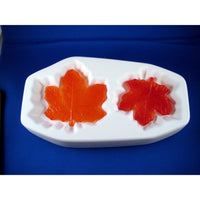 Colour de Verre Maple Leaves Mold with Slumper