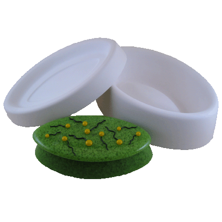 Colour de Verre 6” Elliptical Box Mold