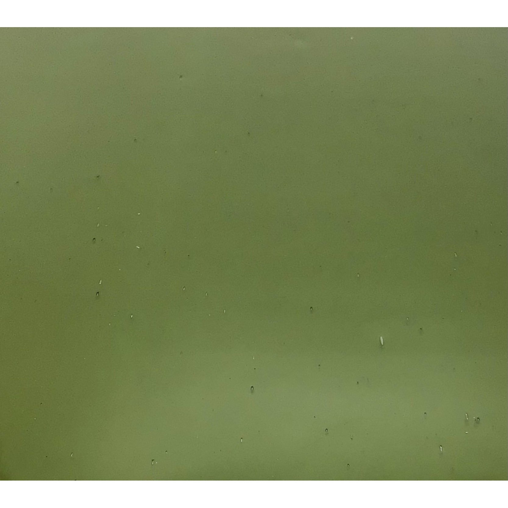 Light Olive Green